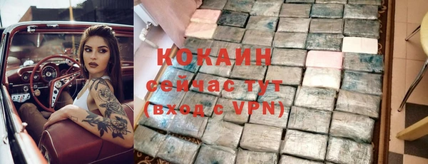 индика Баксан