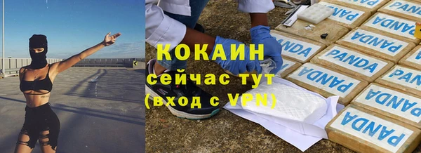 индика Баксан