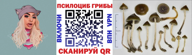 Псилоцибиновые грибы MAGIC MUSHROOMS  наркотики  Нефтекумск 